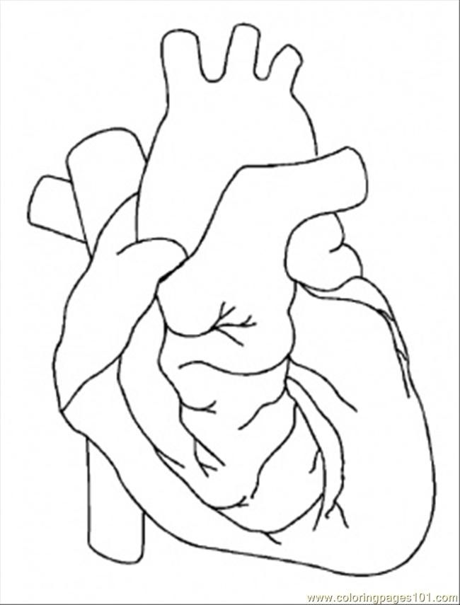 Coloring Pages Heart (Peoples  Body) - free printable coloring