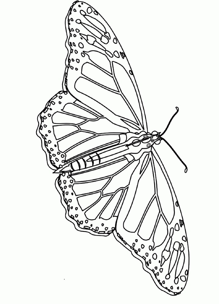 Butterfly Coloring Page 