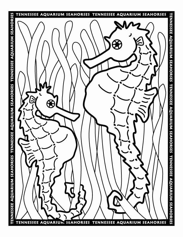 Seahorses Coloring Pages | Free Printable Coloring Pages | Free