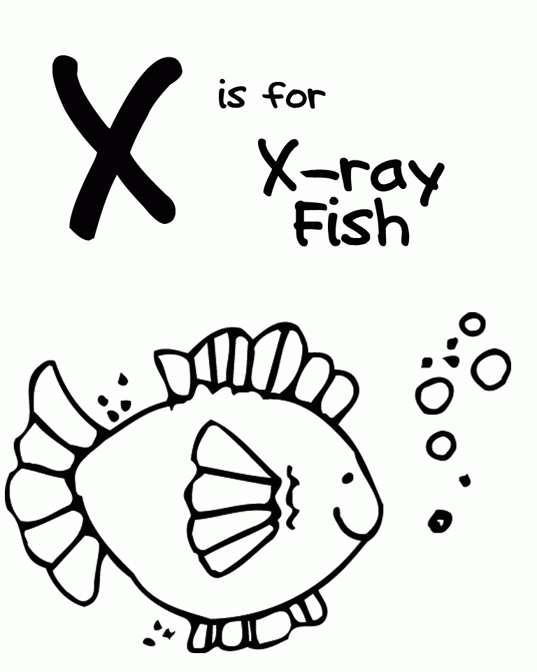X Ray Clipart For Kids Images  Pictures 