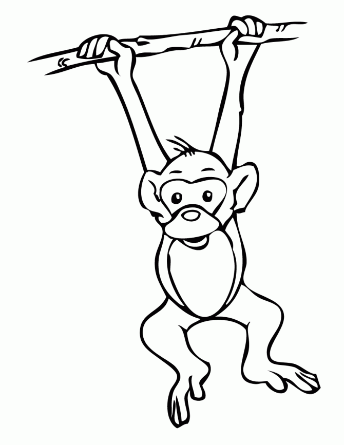 Coloring Pages Monkey | Free Printable Coloring Pages
