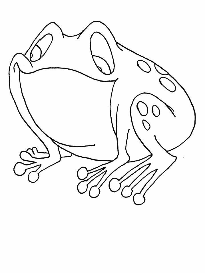 dolphin coloring pages and facts