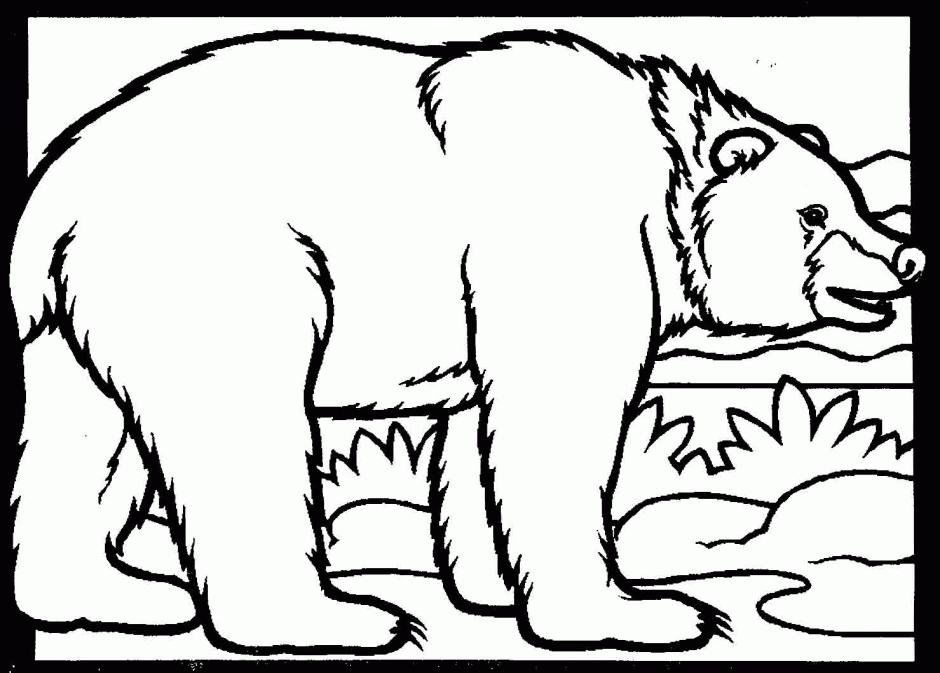 Black Bear Coloring Page ClipArt Best Bear Coloring Pages