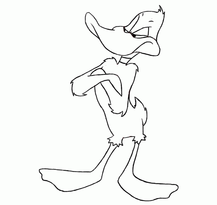 daffy | animalgals