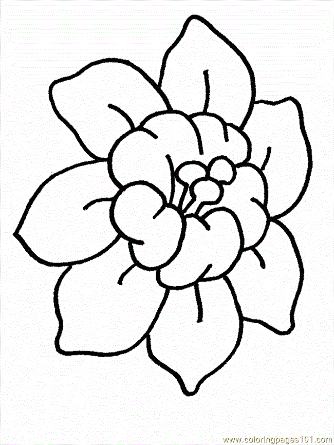 Free Printable Flower Pictures To Color, Download Free Printable Flower
