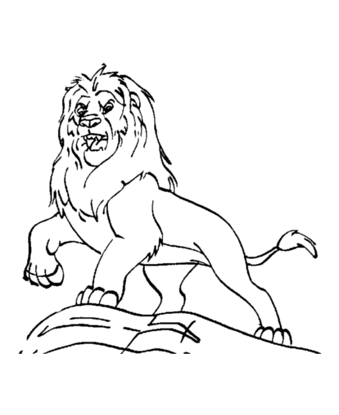 Free Cartoon Lion Pictures For Kids Download Free Cartoon Lion