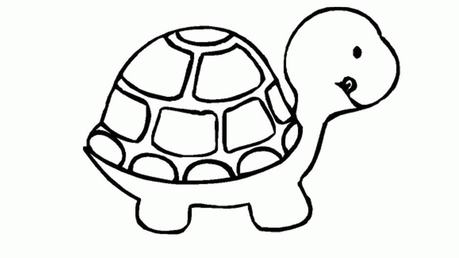 Sea Turtles Coloring Pages Coloring Book Area Best Source