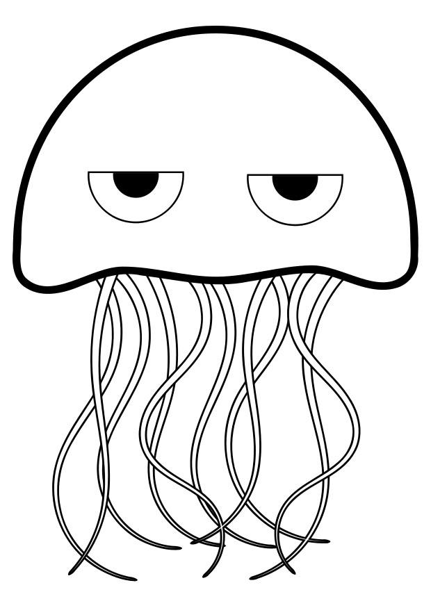 Free Jellyfish Coloring Pages Download Free Clip Art Free