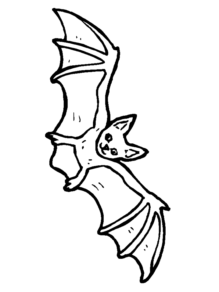 free printable bat| Coloring Pages for Kids |Free coloring on Clipart Library