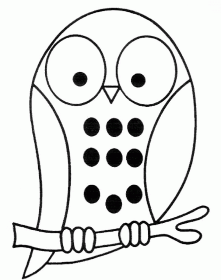 Search Results Owl Colouring