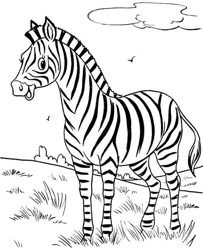 Free Printable Zebra 