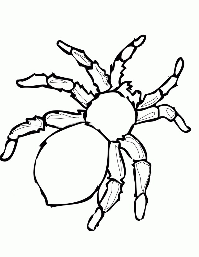 Free Printable Spider Coloring Pages WwwClipart LibraryColoring
