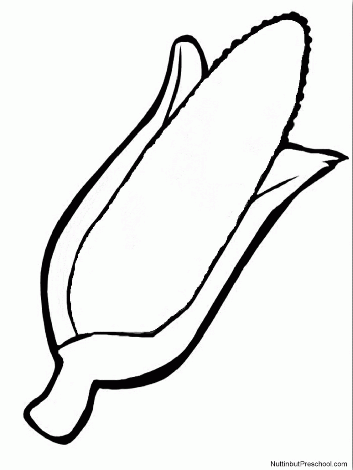 Free Indian Corn Coloring Pages Download Free Indian Corn Coloring 
