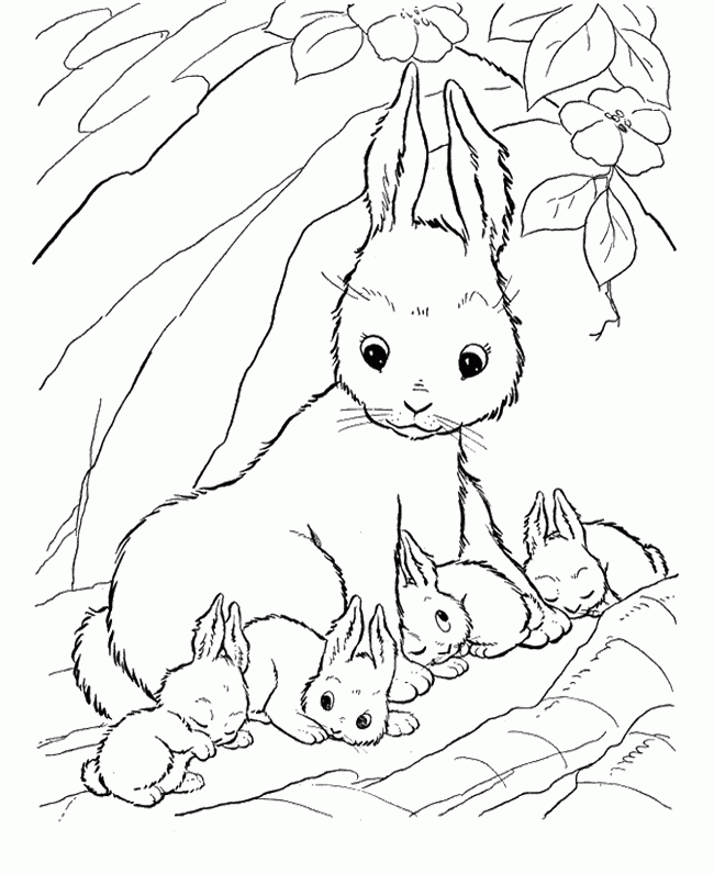 Free Rabbit Pictures To Draw Download Free Rabbit Pictures To Draw Png Images Free Cliparts On Clipart Library