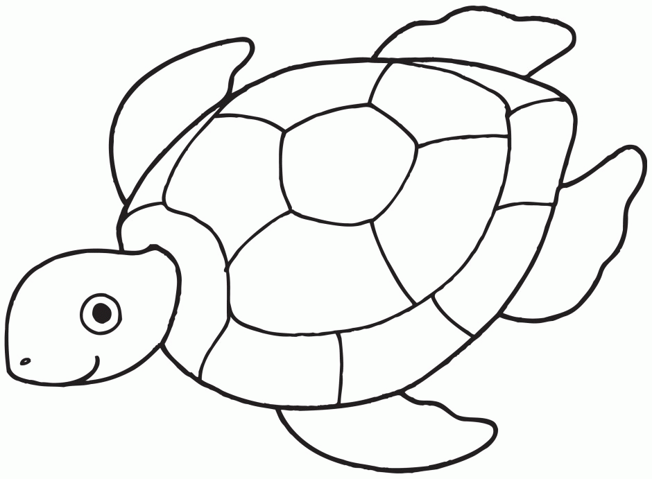 sea turtle drawing cartoon - Clip Art Library