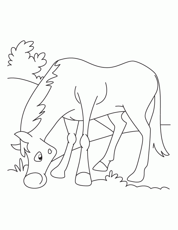 Grazing horse coloring pages | Download Free Grazing horse
