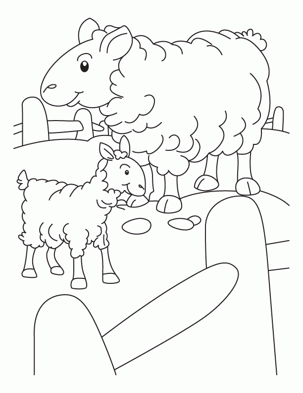 Mother sheep and lamb in a pen coloring page | Download Free