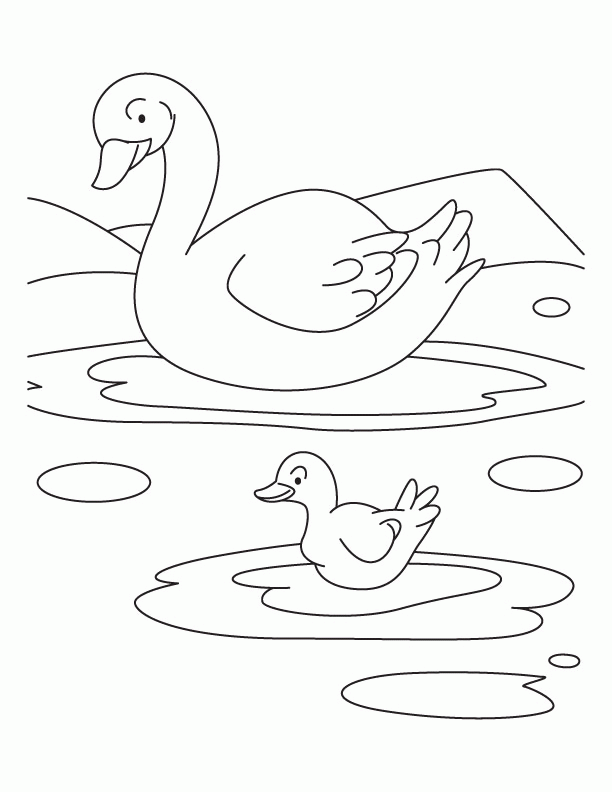 Free Duck Drawings For Kids, Download Free Duck Drawings For Kids png