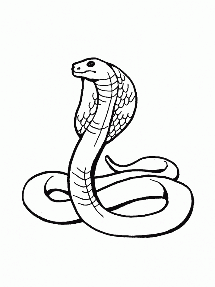 Snake Coloring Pages To Print com