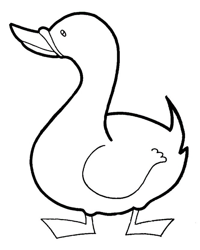 Printable Cute Duck Coloring Pages - Animals Coloring 