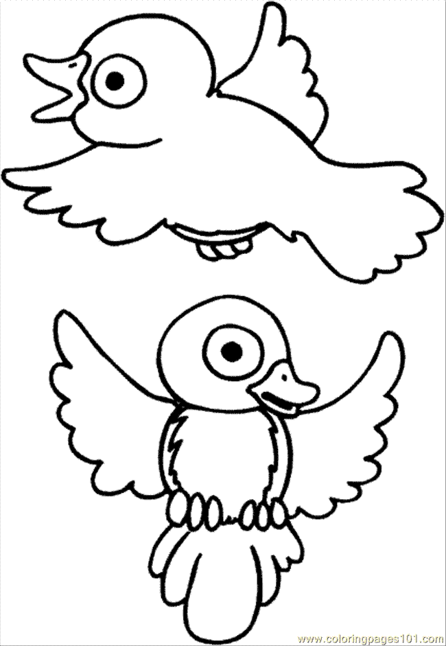 Coloring Pages Bird Coloring  (Animals  Birds)| free printable