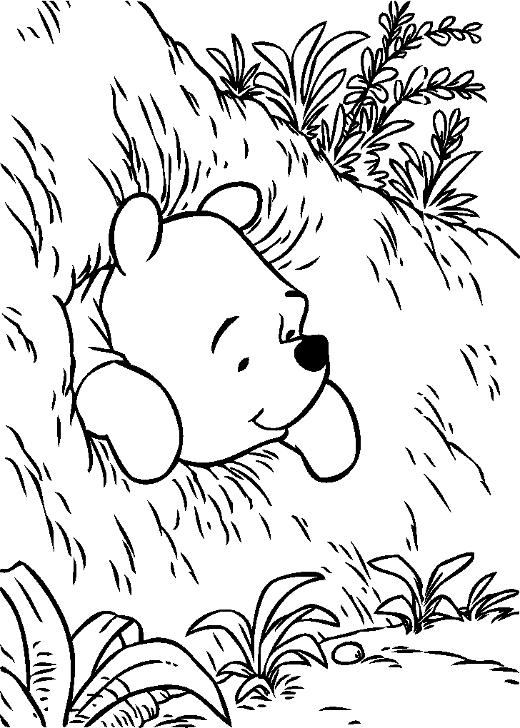 Image - Pooh Bear in a hole - Winniepedia