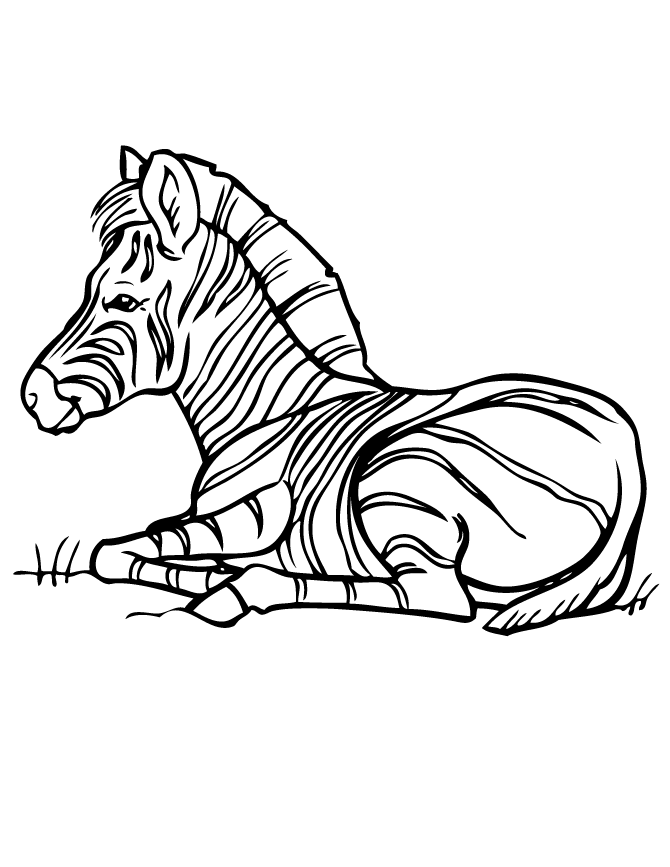 Zebra Coloring Page | Free Printable Coloring Pages