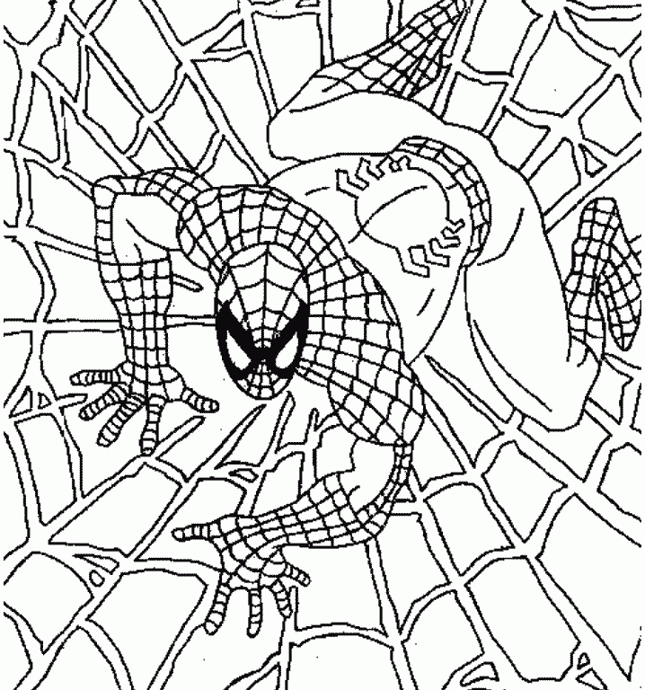 Spiderman-coloring-page |  Coloring Pages For Adults,coloring pages