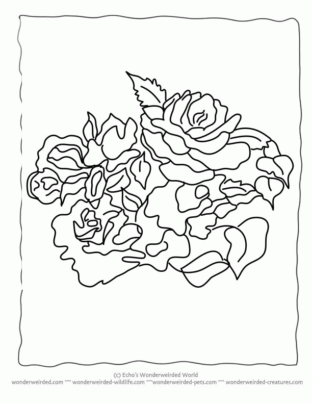 Flower Coloring Sheets rose,Free Printable Flower Coloring Pages