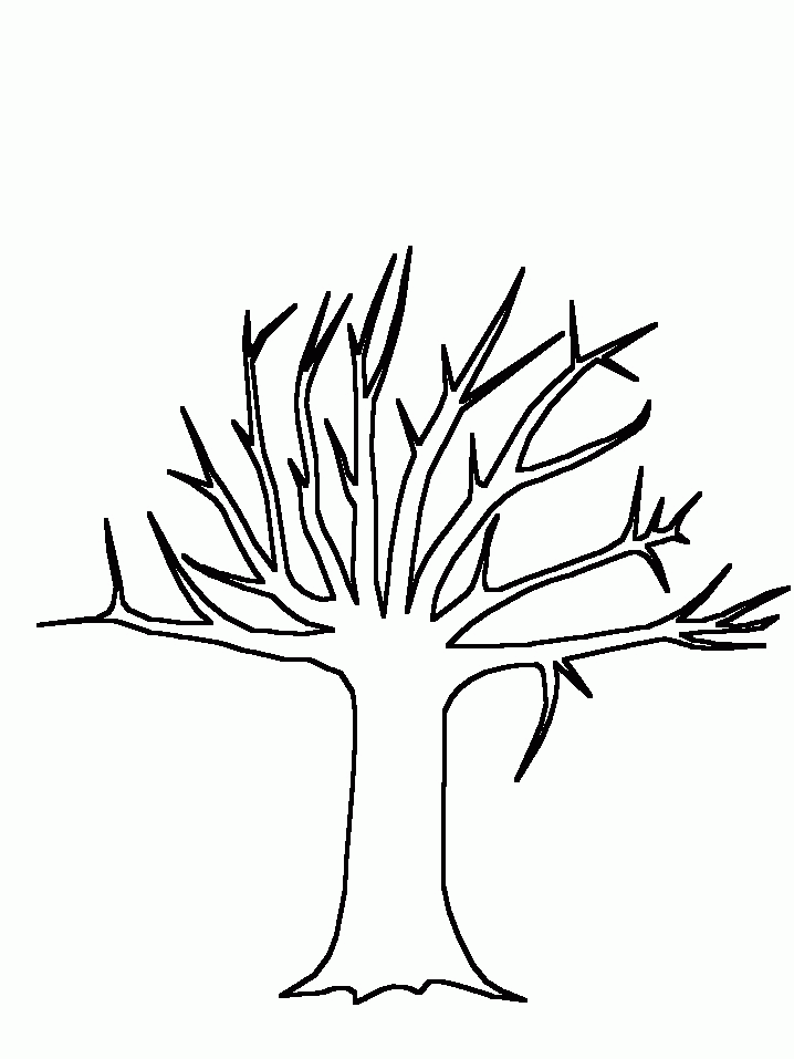 Free Printable Tree Template Download Free Printable Tree Template Png 