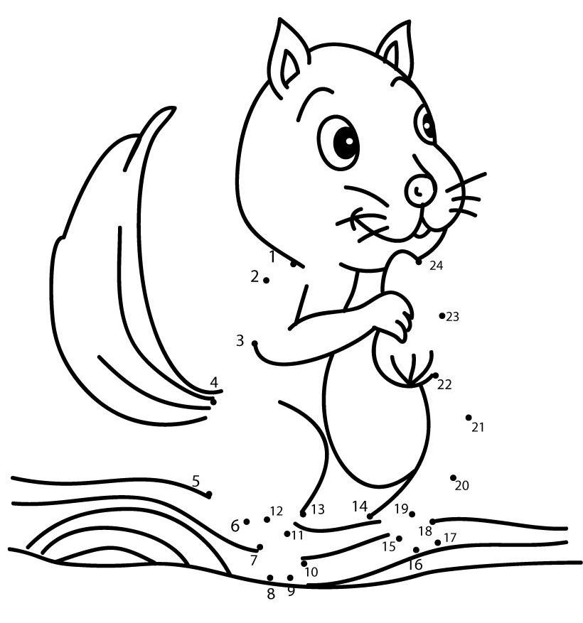 Little Squirrel Animal Dot To Dot | Dimagiz dots to dots image