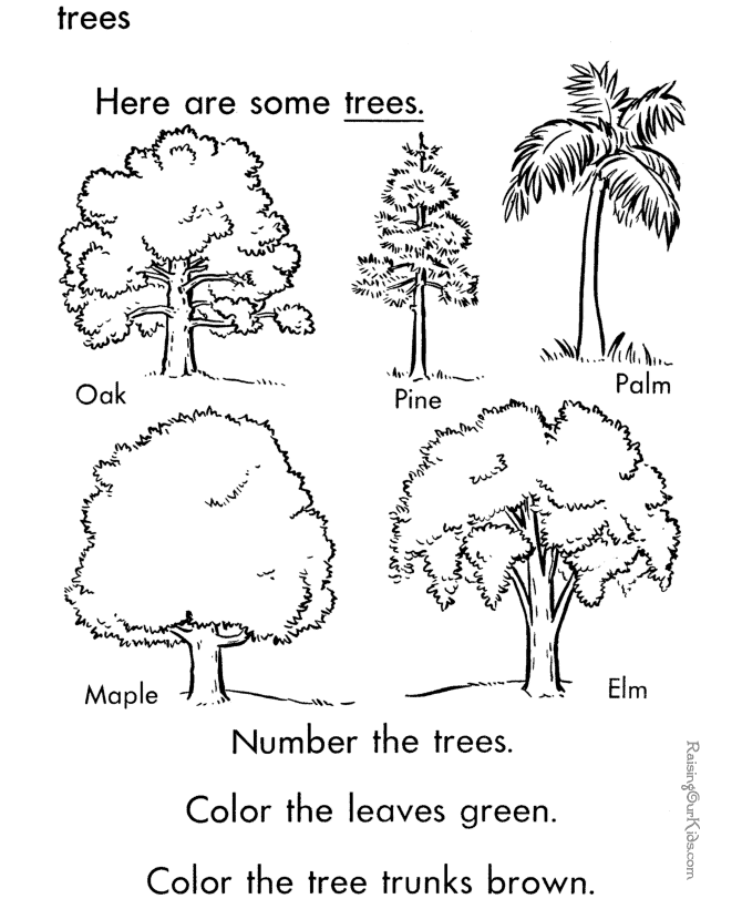 Coloring picture of a tree