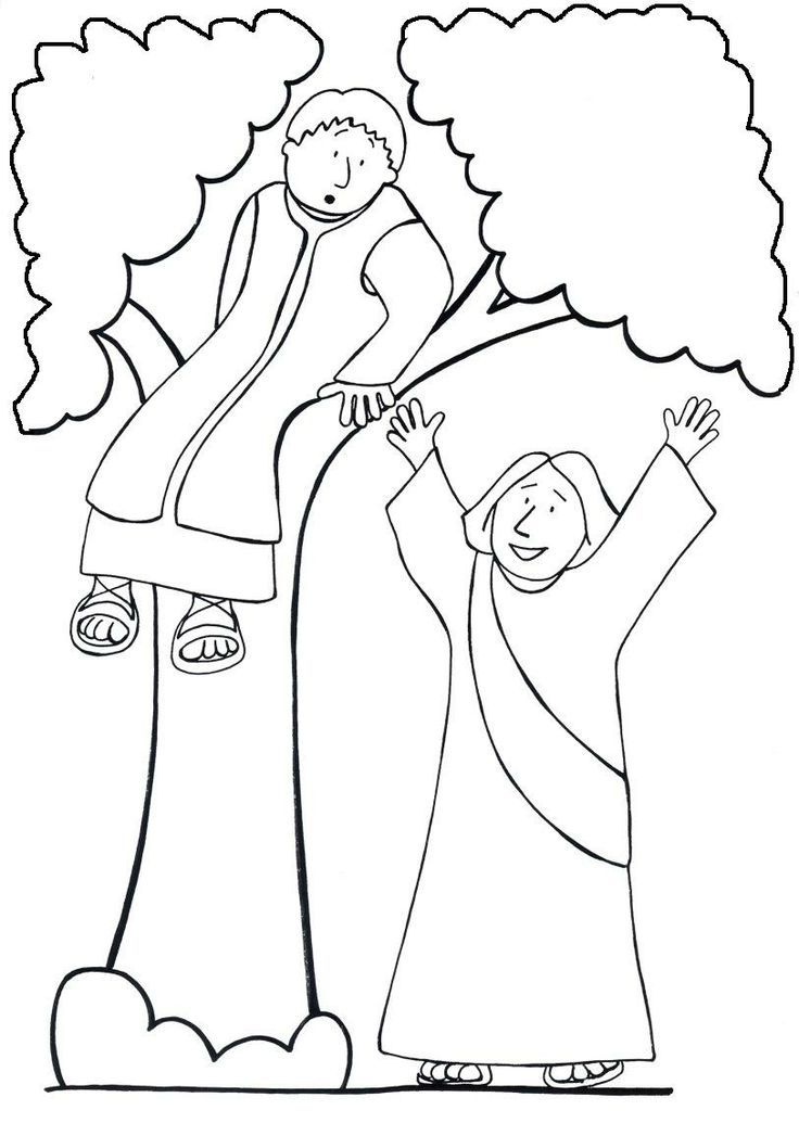 Free Zacchaeus Coloring Page Kids Download Free Zacchaeus Coloring