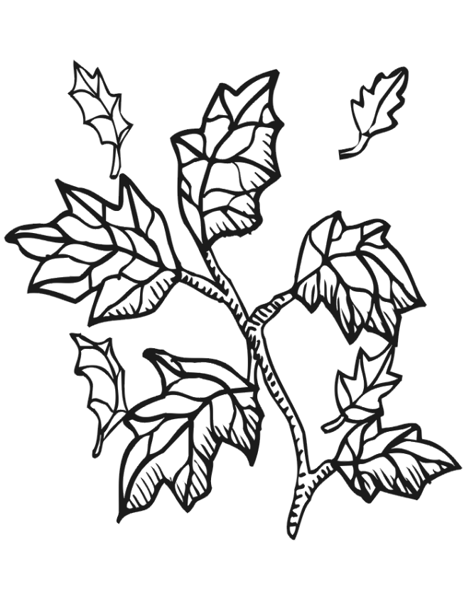 Autumn| Coloring Pages for Kids | Free Printable Coloring Pages