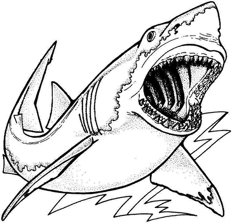 Great White Shark Coloring Page | Snakes-N-Scales