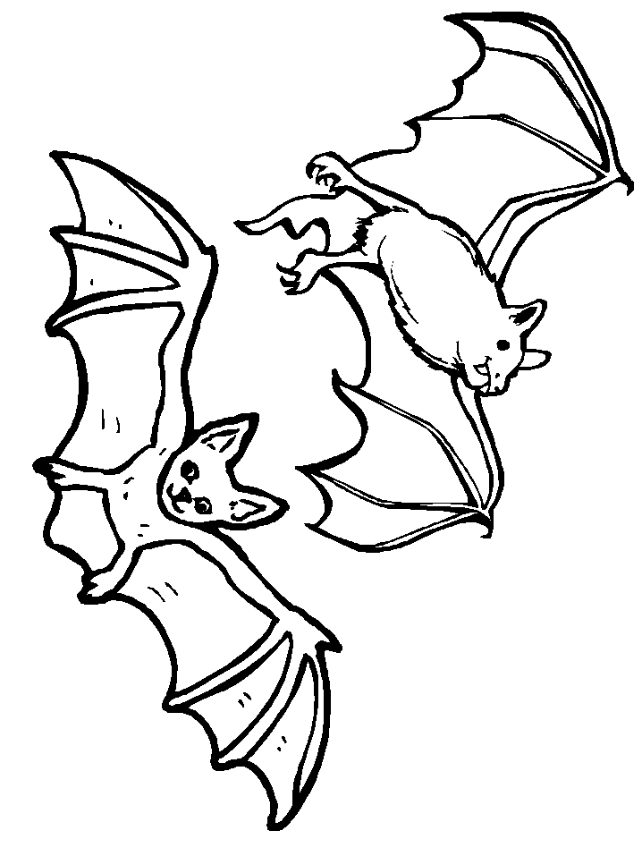Bats 10 Animals Coloring Pages  Coloring Book