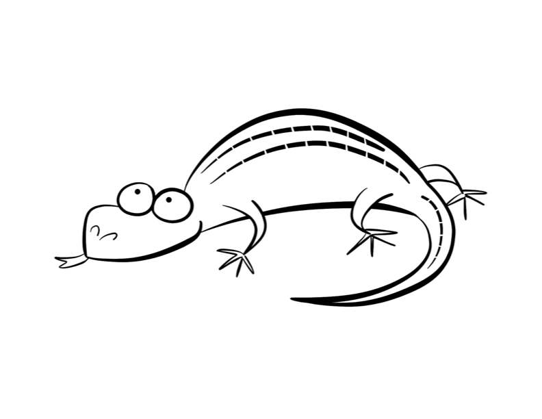 Gecko | Coloring Pages - Free