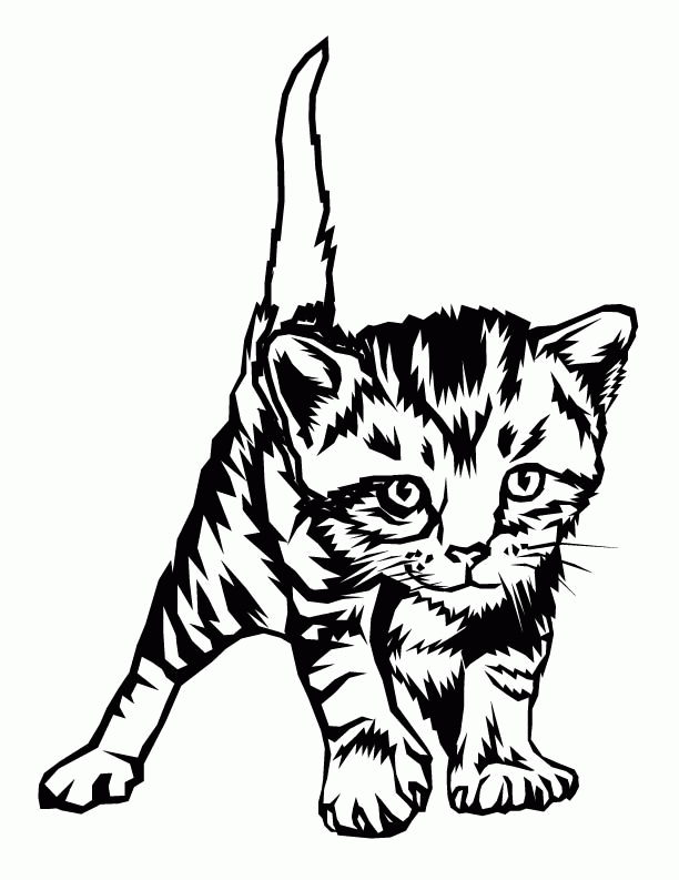 Kitten Printable Coloring Pages