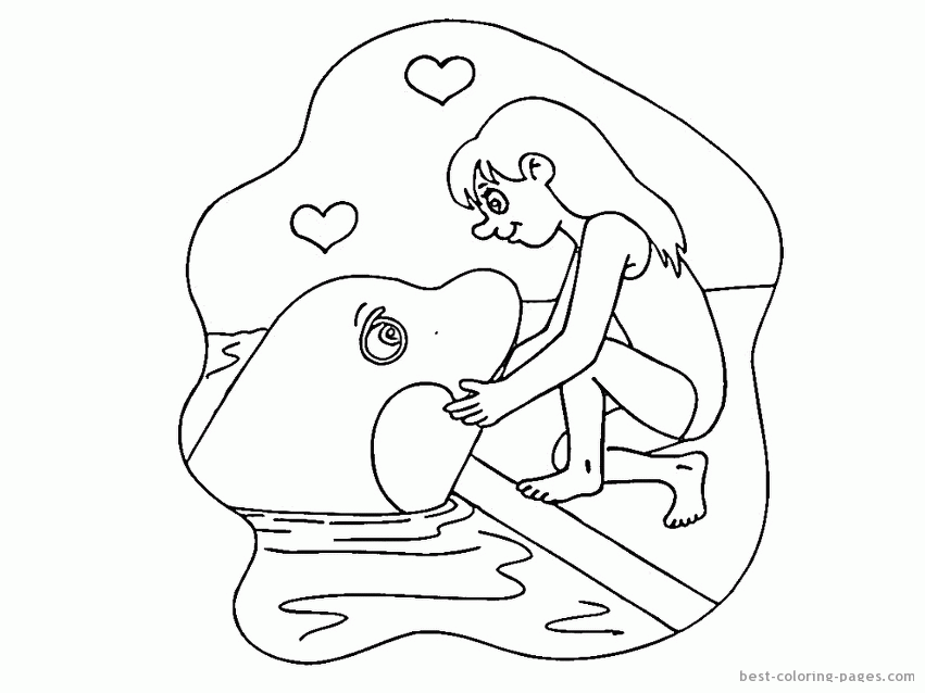 Dolphins pictures to print and color | Best Coloring Pages| free printable