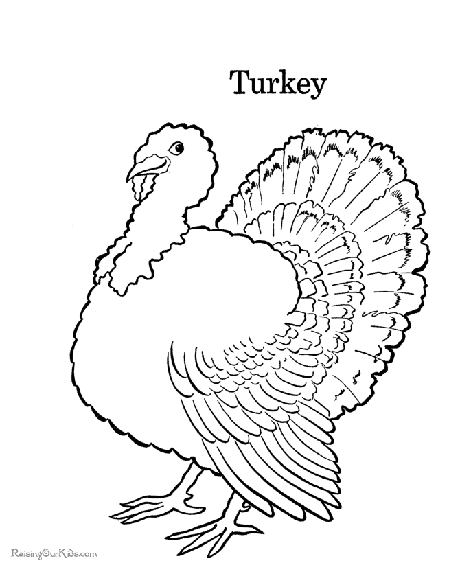 Turkey Thanksgiving Coloring Book Page