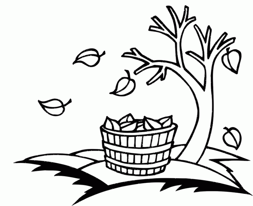 Printable Pictures Tree Leaves Fall Coloring Pages - Tree Coloring