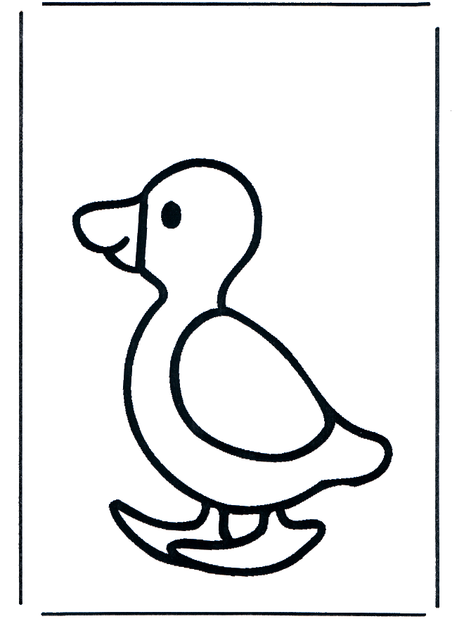 Duck 1 - Birds