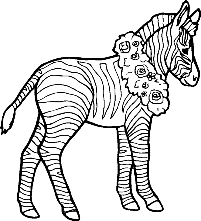 zebra coloring Page