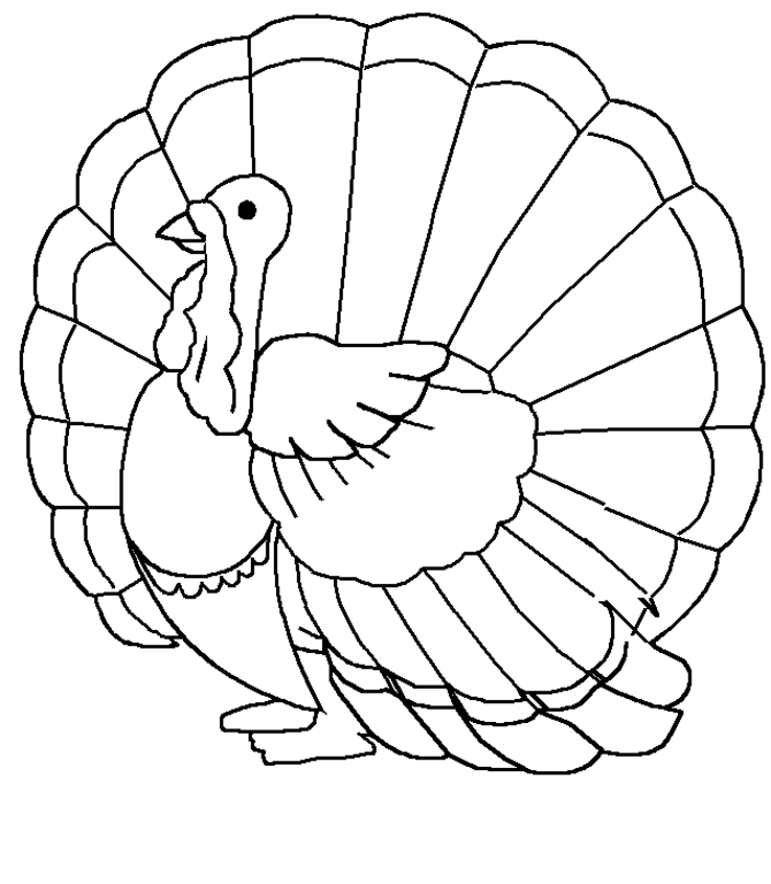 Turkey Coloring Page Turkey Coloring Page Turkey Coloring