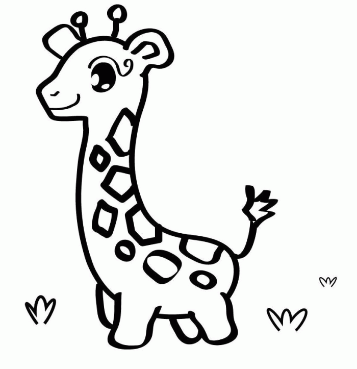 Cute Baby Giraffe Coloring Page - Animal Coloring Pages