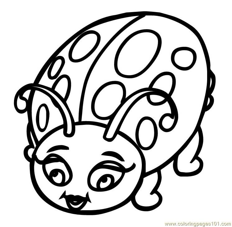 Coloring Pages Ladybug (Insects  ladybugs) | free printable