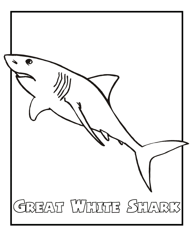 Free Printable Shark 