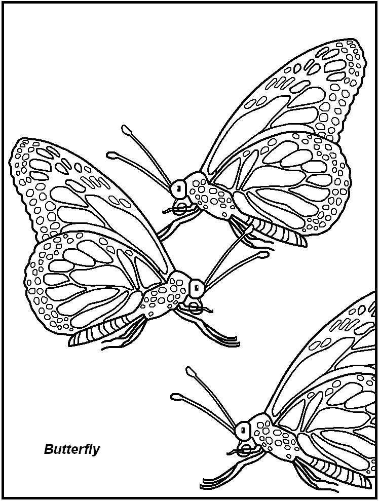 FREE Printable Insect Coloring Pages - great for kids, teachers