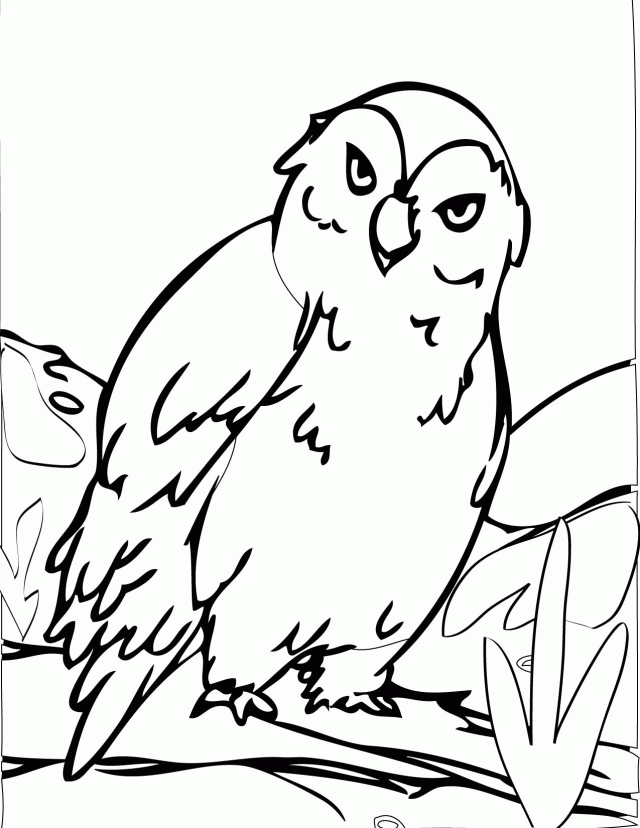 Download| Coloring Pages for Kids Coloringfokids