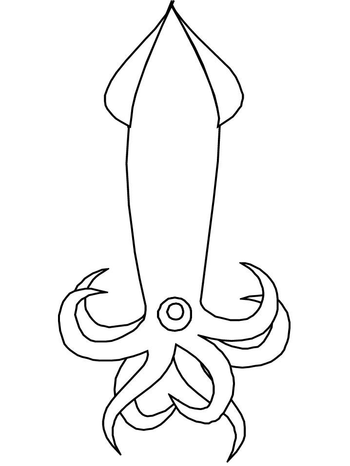 printable ocean squid animals coloring pagesClipart Library